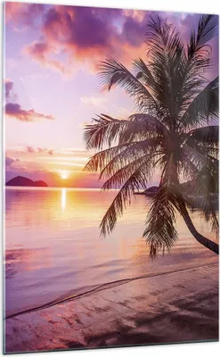 Produktbild von Bilder auf glas - Einteilig - Strand Meer Palme - 70x100cm - Glasbilder - Wandbilder - Bilder - zum Aufhängen bereit - Wanddekoration aus Glas - Glas Bilder - Wandbild auf Glas - GPA70x100-3912