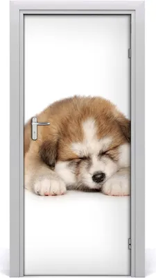 Produktbild von Tulup Türaufkleber 85x205 cm Dekorative Aufkleber Selbstklebend Wasserdichte Tapete Abnehmbar Schlafzimmer Wohnzimmer Wohnkultur - Akita