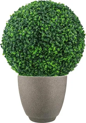 Zdjęcie produktu dla Kula Bukszpanowa 27 cm