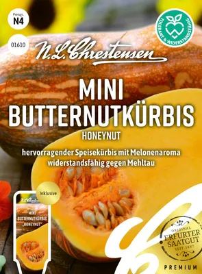 Artikelbild 1 von 'Mini Butternutkürbis Honeynut' aus der Kategorie Butternutkürbissamen