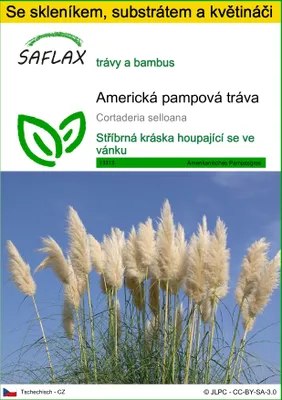 Obrázek produktu pro SAFLAX Kultivační sada - Americká pampová tráva - Cortaderia selloana - 200 Semena - S mini skleníkem, pěstebním substrátem a 2 květináči