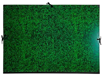 Produktbild von Exacompta Zeichenmappe Annonay grün 50x75 cm