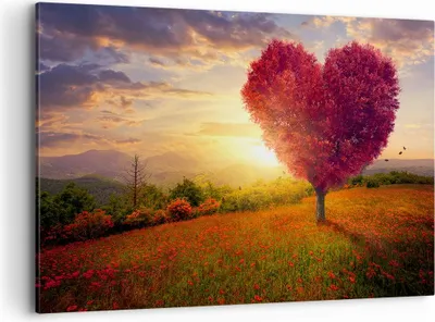 Produktbild von Bild auf Leinwand - Leinwandbild - Baum Wiese Blume - 120x80cm - Wand Bild - Wanddeko - Wandbilder - Leinwanddruck - Bilder - Kunstdruck - Wanddekoration - Leinwand bilder - Wandkunst - AA120x80-3790