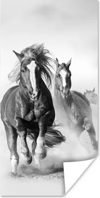 Produktbild von MuchoWow® Poster Pferde - Tiere - Illustration 60x120 cm - Wandschmuck