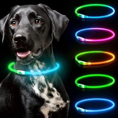 Immagine prodotto di Cani luminosi – Collare luminoso – Illuminazione per cani – Illuminazione per cani durante le passeggiate