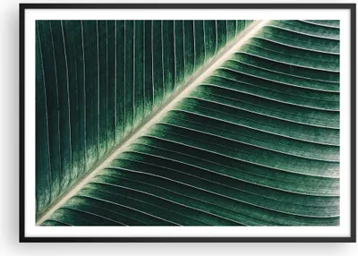 Produktbild von Gerahmtes Poster - Schwarzer Rahmen - Grün Blatt Tropisch - 100x70 cm - Wand Bild - Wanddeko - Wandbilder - Kunstposter - Wandposter - Bilderrahmen - Bilder - Kunstdruck - Wandbild - P2BAA100x70-4126