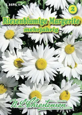 Produktbild von Margerite Riesenblumig | Margeritensamen von N.L. Chrestensen
