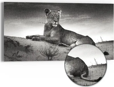Produktbild von DEQORI Hybrid Leinwand Bild 60x30 cm 'König der Savanne' Wandbild Glas flach modern