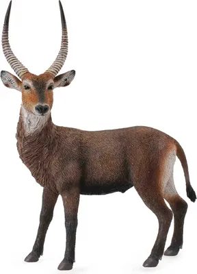 Immagine prodotto di Figurina da collezione Antilope Waterbuck taglia L