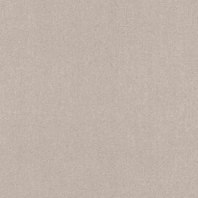 Produktbild von Rasch Vliestapete Color Your Life 633672 Uni Einfarbig Tapete 10.05 x 0.53 m Beige Wohnen Schlafen Küche Flur Eingangsbereich