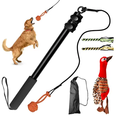 Hundeschleppleine verstellbar mit Quietschente, Zugspielzeug für Hunde