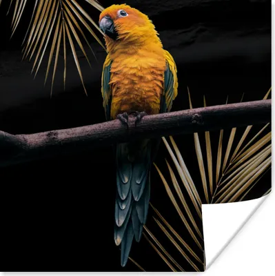 Produktbild von MuchoWow® Poster Vogel - Papagei - Zweig - Farn 100x100 cm - Babyzimmer