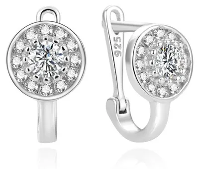 Produktbild von Fashion silver earrings with zircons AGUC2189L