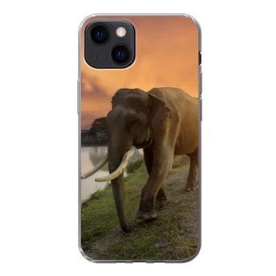 Produktbild von MuchoWow® Handyhülle Schutzhülle Hülle für iPhone 13 Elefant - Wasser - Tiere - Sonnenuntergang - Natur Silikon Softcase Handy Hülle - Karteninhaber