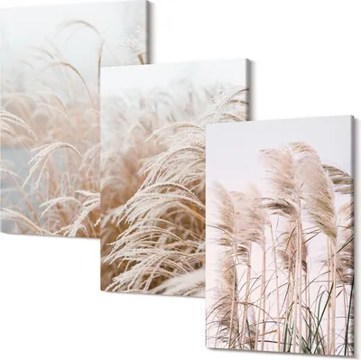 Produktbild von Leinwandbild – Wandbild – Leinwandbilder – Kunstdruck – Polycanvas – Modern – Mehrteilig – 3-Teilig Set – Hochwertig – Geruchslos – Lichtecht – Fertig Aufgespannt – 20x30 Cm Je Teil - Grasfelder in zarten Braun- und Beigetönen