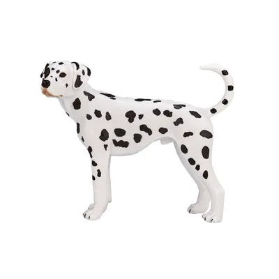 Image de Mojo Farmland Dalmatien - 387248