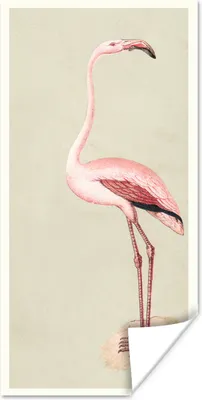 Produktbild von MuchoWow® Poster Antiker Vogel-Druck Flamingo 20x40 cm - Plakat - Foto