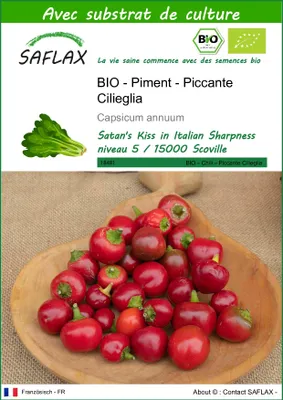 Image de SAFLAX  - Piment - Piccante Cilieglia - 10 graines - Avec substrat - Capsicum