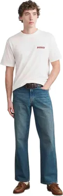 Image de Dickies WIP DK0A8853C481 in OXFORD color size medium