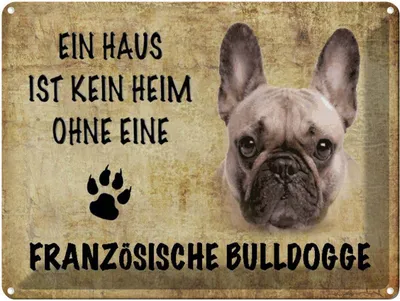 Produktbild von vianmo Blechschild 30x40 cm Französische Bulldogge Hund
