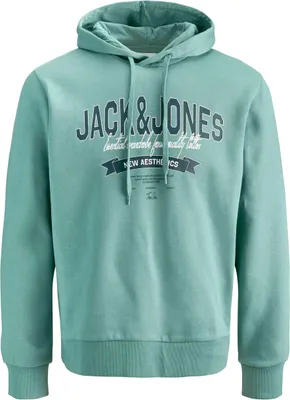 Image de Sweat à capuche Jack&Jones 077-52599849976147 pour Homme