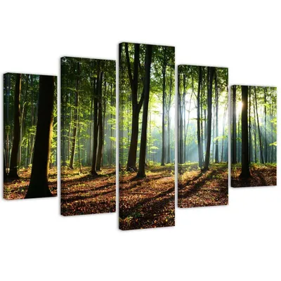 Produktbild von 5-teiliges leinwandbild sonnenschein im wald 100x70 cm Feeby blau wandbild bereit zum aufhängen