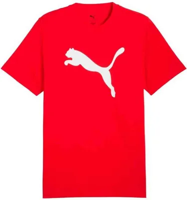 Productafbeelding van T-shirt Puma 682536-11 voor Heren