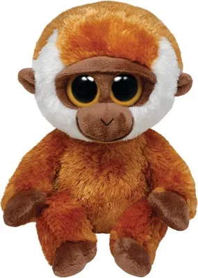 Immagine prodotto di Beanie Boos Buddy - Bongo/Monkey 22 cm (3 ct.)