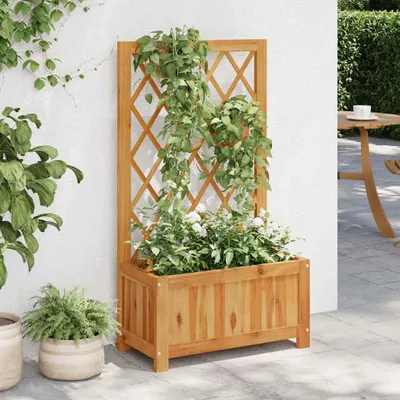Immagine prodotto di vidaXL Letto rialzato da giardino con traliccio in legno massiccio di acacia