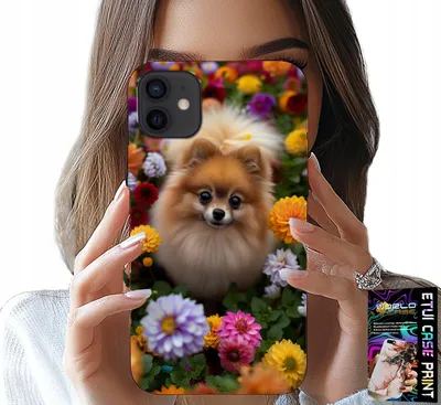 Obrázek produktu pro Pouzdro Pro Iphone 11 - Roztomilý Pejsek, Pomeranian + Sklo