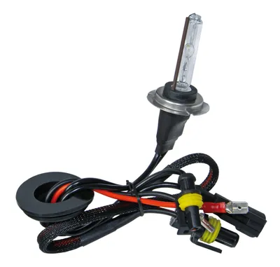 Immagine prodotto di lampadina 12/24V HID Xenon 5.000°K - H7 - 1 pz - scatola