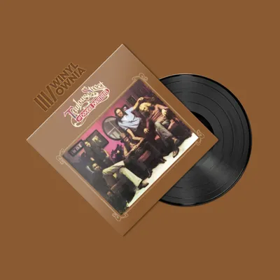 Obrázek produktu pro ++ DOOBIE BROTHERS – Album „Toulouse Street“ (LP)
