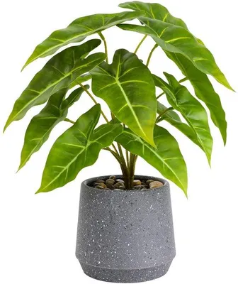 Immagine prodotto di Pianta artificiale finta succulenta in vaso, alta 33 centimetri, per il soggiorno, lo studio, come oggetto decorativo