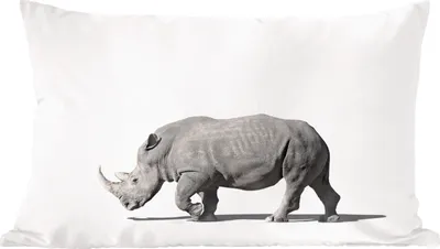 Produktbild von MuchoWow® Zierkissen Sofakissen Wohnzimmer Dekokissen 50x30 cm Rhinozeros - Tiere - Weiß - Wohnzimmerdekoration - Polster mit Photo