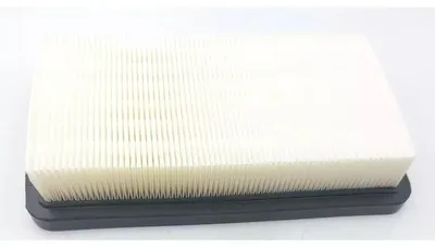 Immagine prodotto di Filtro HEPA per DED7075, DED7174