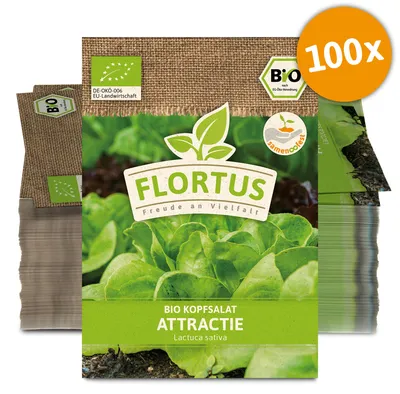 Artikelbild 1 von 'BIO Kopfsalat Attractie (100 Stück)' aus der Kategorie Kopfsalatsamen