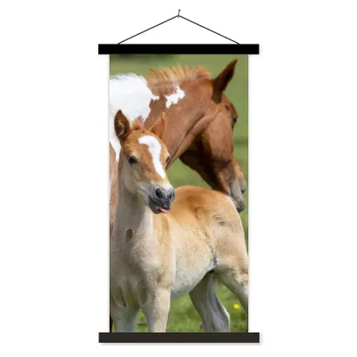 Produktbild von MuchoWow® Textilposter Pferde - Fohlen - Gras 90x180 cm mit schwarzem Rahmen - Dekoration Wohnzimmer