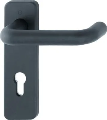 Zdjęcie produktu dla Zestaw FS Paris FS-K138/202K Ku.F9005M D/D TS 40-66mm PZ ktg.DIN L/R HOPPE