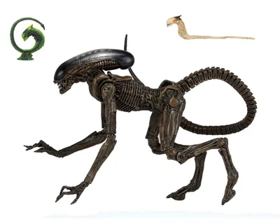 Immagine prodotto di NECA ALIENS SERIE 8 ALIEN 3 DOG ALIEN BROWN FIGURINA NUOVA NUOVO  Neca