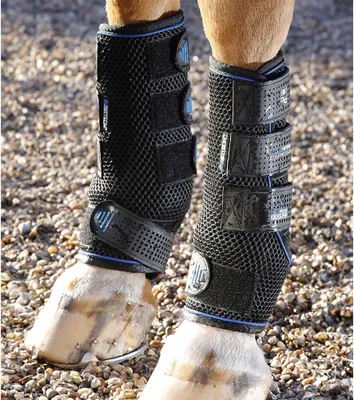 Produktbild von Premier Equine Cold Water Compression Sehnenstiefel Schwarz L Schwarz L