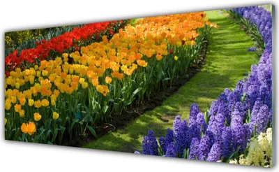 Produktbild von Acrylglasbilder 125x50 Wandbild Druck Blumen Pflanzen