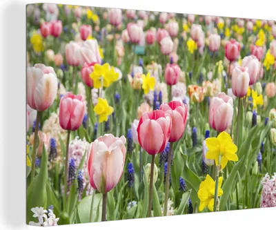 Produktbild von OneMillionCanvasses® - Leinwandbilder - 150x100 cm, Tulpengarten, Wandbilder Kunstdruck Wanddekoration
