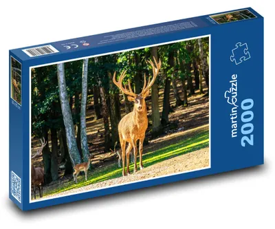 Obrázek produktu pro martinpuzzle - Puzzle 2000 - Divoká zvěř - jelen, zvíře