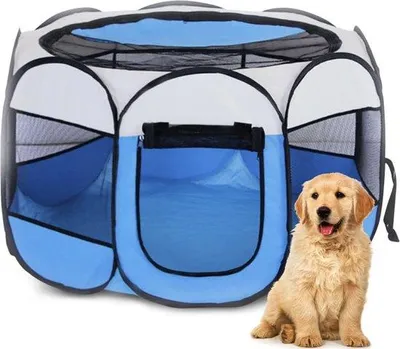 Immagine prodotto di Gabbia per cani da interno, 74 x 74 x 43 cm, con 2 porte, blu, pieghevole, per animali domestici di piccola taglia