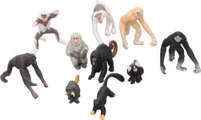 Obrázok produktu pre 10PCS Modely primátov Mini Proboscis Monkey Gibbon Orangutan Lemur Model Animal Ornament Set