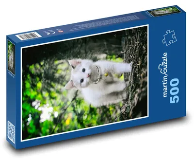 Obrázok produktu pre Puzzle 500 Mačiatko v lese - martinpuzzle