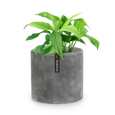 Obrázok produktu pre Fox & Fern kvetináč so zátkou, veľký, Ø 20 cm, do interiéru/exteriéru, UV odolný