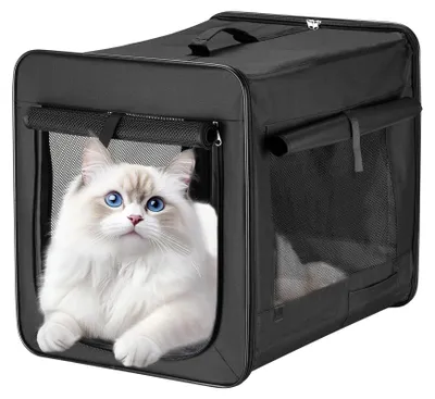 Faltbare Haustier-Transportbox S, 42x36x41 cm, mit Kissen