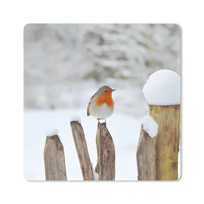 Produktbild von MuchoWow® Mauspad Mousepad Vogel - Zaun - Schnee 20x20 cm - Mousepads - Maus Mat - Pad - Mausunterlage - Desk Mat - Bureauartikeln