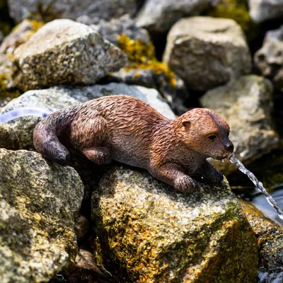 Produktbild von esotec Solar Wasserspeier Set Fischotter OTTI, Wasserspiel mit Teichumpe 101674
